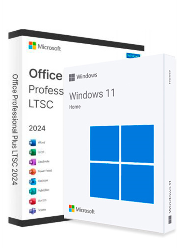 Windows 11 Pro + Office 2024
